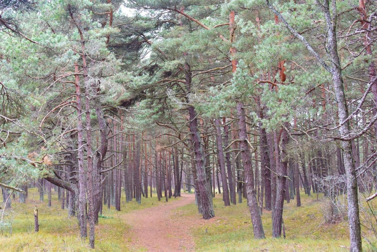 Vila Dia Паланга Экстерьер фото